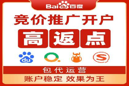 竞价推广策略：某电商平台的成功之路
